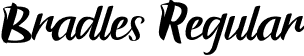 Bradles Regular font - Bradles.otf