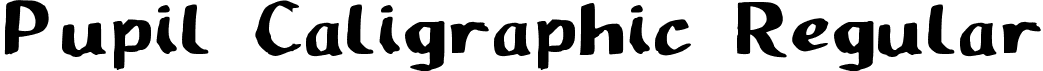 Pupil Caligraphic Regular font - Pupil_Caligraphic.ttf