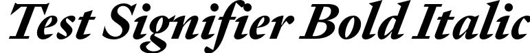 Test Signifier Bold Italic font - TestSignifier-BoldItalic.otf