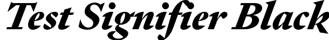 Test Signifier Black font - TestSignifier-BlackItalic.otf