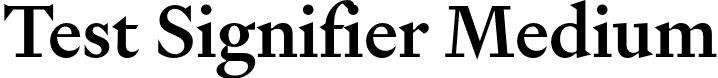 Test Signifier Medium font - TestSignifier-Medium.otf