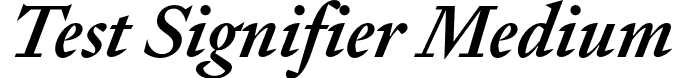 Test Signifier Medium font - TestSignifier-MediumItalic.otf