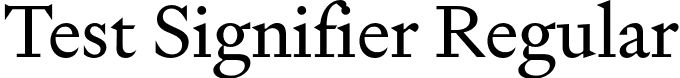 Test Signifier Regular font - TestSignifier-Regular.otf