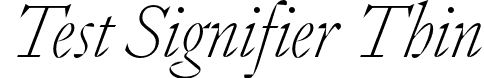 Test Signifier Thin font - TestSignifier-ThinItalic.otf