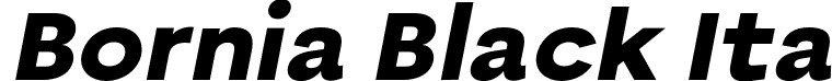 Bornia Black Ita font - Bornia-BlackItalic.otf