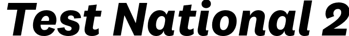 Test National 2 font - TestNational2-BoldItalic.otf