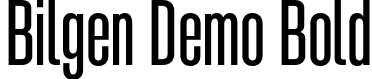 Bilgen Demo Bold font - BilgenDemo-Bold.otf