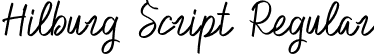 Hilburg Script Regular font - Hilburg Script.otf