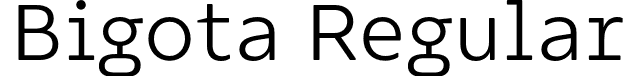 Bigota Regular font - Bigota.otf