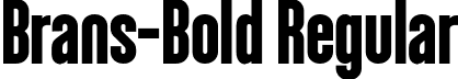 Brans-Bold Regular font - Brans-Bold.otf