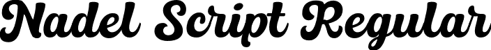 Nadel Script Regular font - NADEL SCRIPT.otf