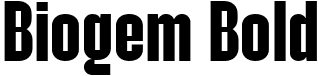 Biogem Bold font - Biogem-Bold.ttf