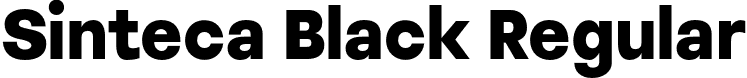 Sinteca Black Regular font - Sinteca-Black.otf