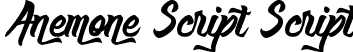 Anemone Script Script font - Anemone Script.ttf