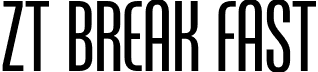 ZT Break Fast font - ZTBreakFast-Regular.otf