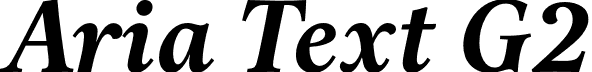 Aria Text G2 font - AriaTextG2-BoldItalic.otf