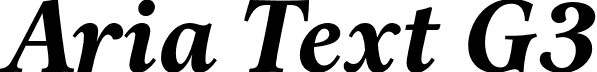 Aria Text G3 font - AriaTextG3-BoldItalic.otf