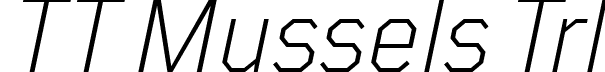 TT Mussels Trl font - TT-Mussels-Trial-Light-Italic.ttf