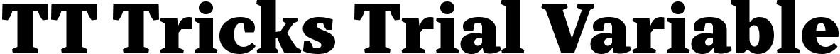 TT Tricks Trial Variable font - TT-Tricks-Trial-Variable.ttf