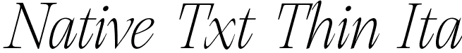 Native Txt Thin Ita font - NativeTxt-ThinItalicItalic.otf