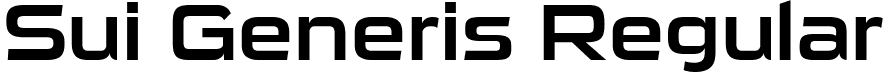 Sui Generis Regular font - sui generis rg.ttf