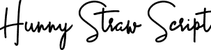 Hunny Straw Script font - Hunny Straw Script.otf