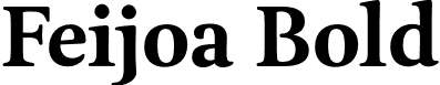 Feijoa Bold font - Feijoa Bold.otf