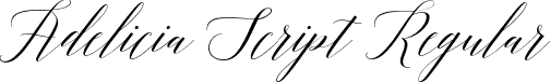 Adelicia Script Regular font - Adelicia Script.ttf