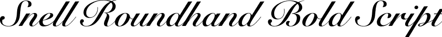 Snell Roundhand Bold Script font - SnellRoundhand-BoldScript.otf