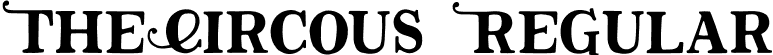 TheCircous Regular font - TheCircous.otf