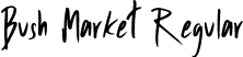 Bush Market Regular font - BushMarket-Regular.otf