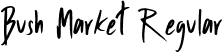 Bush Market Regular font - BushMarket-Regular.ttf