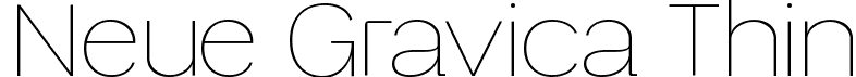 Neue Gravica Thin font - neue-gravica-vf.ttf