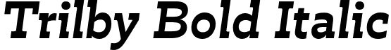 Trilby Bold Italic font - Trilby-BoldItalic-Testing.otf