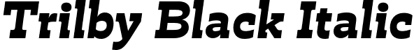 Trilby Black Italic font - Trilby-BlackItalic-Testing.otf