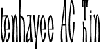 tenhayee AC Thin font - tenhayeeAC-Thin.otf