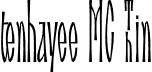 tenhayee MC Thin font - tenhayeeMC-Thin.otf