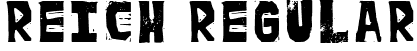 reich Regular font - reich.ttf