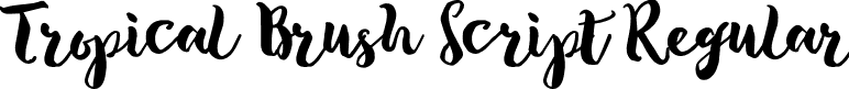 Tropical Brush Script Regular font - Tropical Brush Script.otf