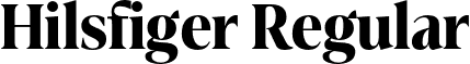 Hilsfiger Regular font - Hilsfiger-Regular.otf