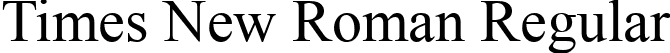 Times New Roman Regular font - times-new-roman.ttf