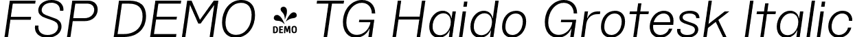 FSP DEMO - TG Haido Grotesk Italic font - Fontspring-DEMO-tghaidogrotesk-italic.otf