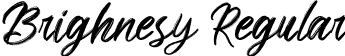 Brighnesy Regular font - Brighnesy.ttf