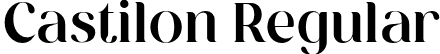 Castilon Regular font - Castilon.otf