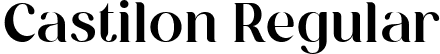 Castilon Regular font - Castilon.ttf