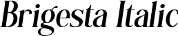 Brigesta Italic font - BRIGESTA ITALIC.ttf