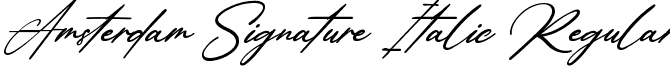 Amsterdam Signature Italic Regular font - AmsterdamSignatureItalic-7B15E.ttf