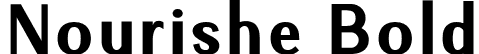 Nourishe Bold font - Nourishe Bold.otf