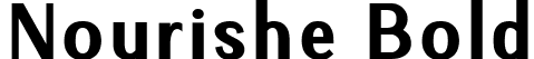 Nourishe Bold font - Nourishe Bold.ttf