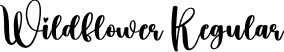 Wildflower Regular font - Wildflower.otf